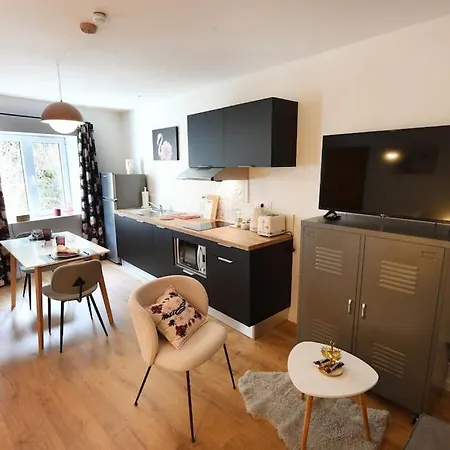 Apartment Albarine-2 Pers-wifi-cosy-confort-bien-etre Oyonnax